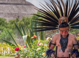 Contrasts of Mexico - 15 Days