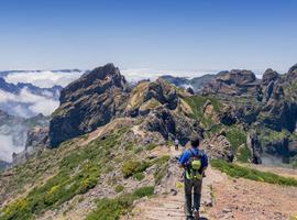 Walking in Madeira 2026 New Year - 8 Days