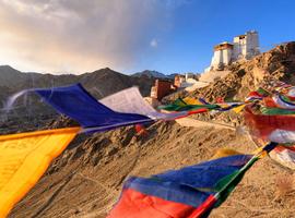 Discover India's Little Tibet and Nubra Valley 2026 Phyang Festival - 11 Days