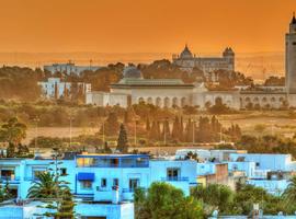 Best of Tunisia 2027 - 10 Days