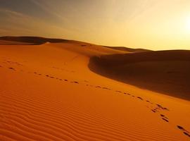 Mountains, Deserts and Coast of Oman 2027 - 9 Days