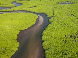 Senegal and The Gambia 20262027 - 14 Days