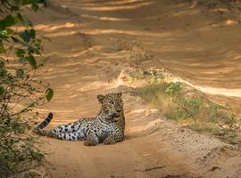 Sri Lanka in Depth 2027 Horton Plains - 15 Days