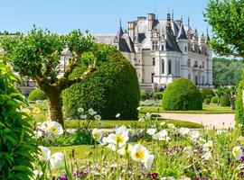 Cycling in France - Loire Valley 2027 - 8 Days