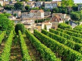 A Taste of Southern France  - Bordeaux to Carcassonne 2027 - 8 Days