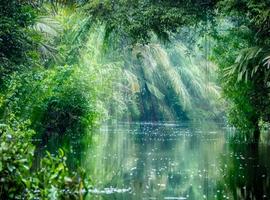 Costa Rica Wildlife Tour 2027 - 15 Days