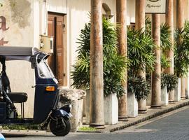 Highlights of Sri Lanka + Maldive Dhoni Cruise 2027 East Coast - 14 Days