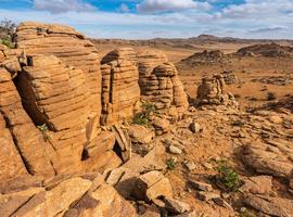 Mongolia Explorer 2027 Nadaam Reverse - 15 Days