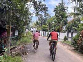 Cycle South India - Tamil Nadu to Kerala 2027 - 14 Days