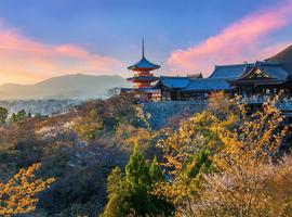 Essential Japan - Tokyo, Mount Fuji and Kyoto 2027 - 8 Days