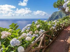 Walking in the Azores 2026 - 14 Days