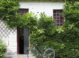 Cycling in France - Loire Valley 2027 - 8 Days