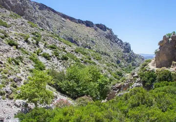 Image 3 of 13