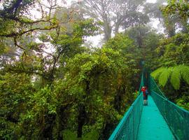 Upgraded - Costa Rica Wildlife 2027 - 14 Days