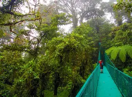 Upgraded - Costa Rica Wildlife 2027 - 14 Days