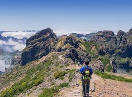 Walking in Madeira 2027 - 8 Days