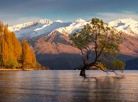 Walking in New Zealand 2027 - 19 Days
