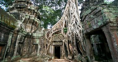 Cambodia Highlights - 8 Days