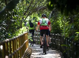Bangkok to Saigon by Bike 2025 - 14 Days