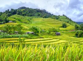 Family Vietnam In Depth - 15 Days
