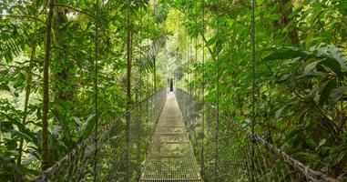 Highlights of Costa Rica 2025 - 8 Days