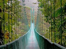 Highlights of Costa Rica + Beach Extension 2025 - 10 Days