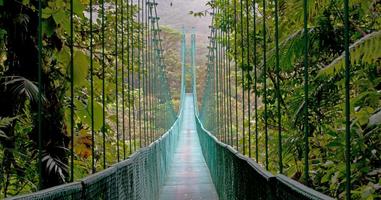 Highlights of Costa Rica + Beach Extension 2025 - 10 Days