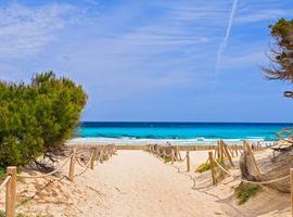Walking in Mallorca 2025 - 8 Days