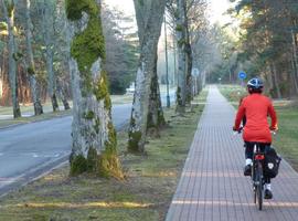 Cycling the Baltic States - 9 Days
