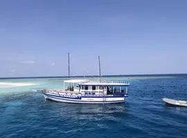 Sri Lanka in Depth + Maldive Dhoni Cruise Horton Plains - 22 Days