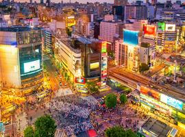 Japan In Depth - Footsteps of the Shogun - 12 Days