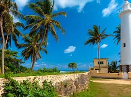 Highlights of Sri Lanka West Coast - 7 Days