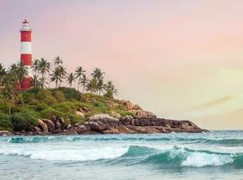 A Taste of Southern India - Temples and Tea Plantations - 9 Days