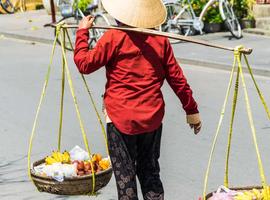 A Taste of Vietnam - Halong Bay to the Mekong Delta - 13 Days