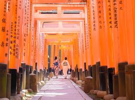 Japan Adventure - 13 Days