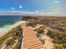 South Africa Adventure - 12 Days