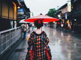The Japan Experience - 10 Days