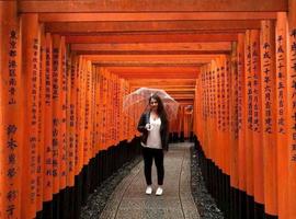 The Japan Experience - 14 Days