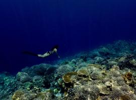 Immersive Philippines - 14 Days