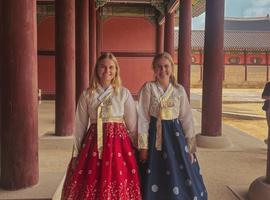 The South Korea Experience - 13 Days