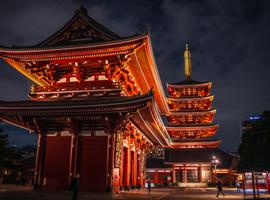 Tokyo Snapshot Tour - 4 Days