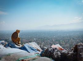 India Nepal Expedition - 20 Days