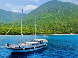 Harmony Cruise - 8 Days