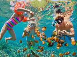 Thailand Family Explorer: Bangkok, Krabi, Phi Phi & Phuket - 13 Days