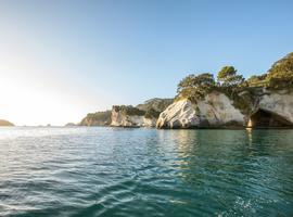 North Island Escape - 7 Days