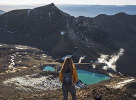New Zealand Highlights - 14 Days (Auckland to Christchurch)