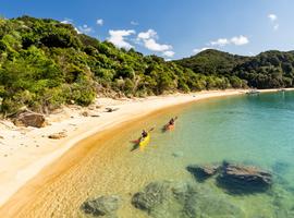 South Island Pioneer