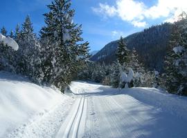 Learn Cross Country Skiing on a Short Break in the French Alps