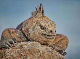 Highlights of Ecuador and Peru - 11 Days (2025)