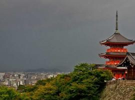 12-Day Japan Family Adventure: Tokyo, Kyoto, Osaka, Hiroshima & Hakone 